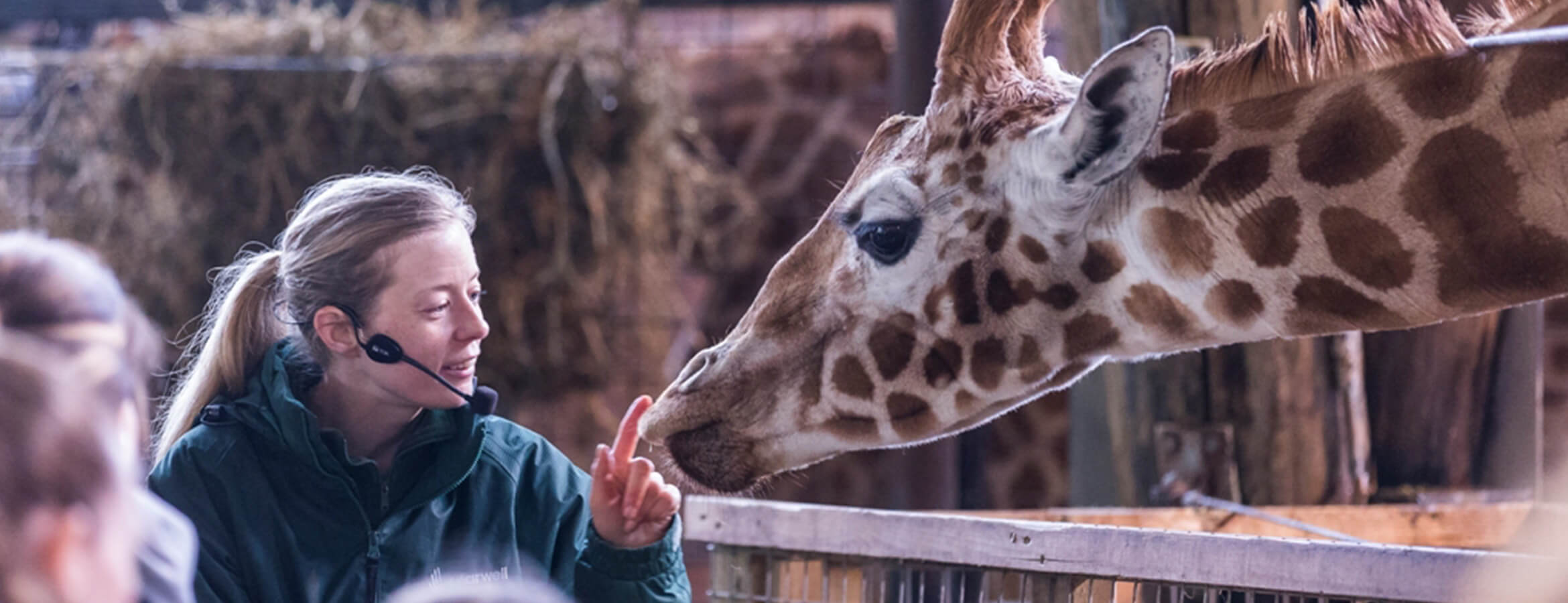 Marwell Zoo Marwell Zoo